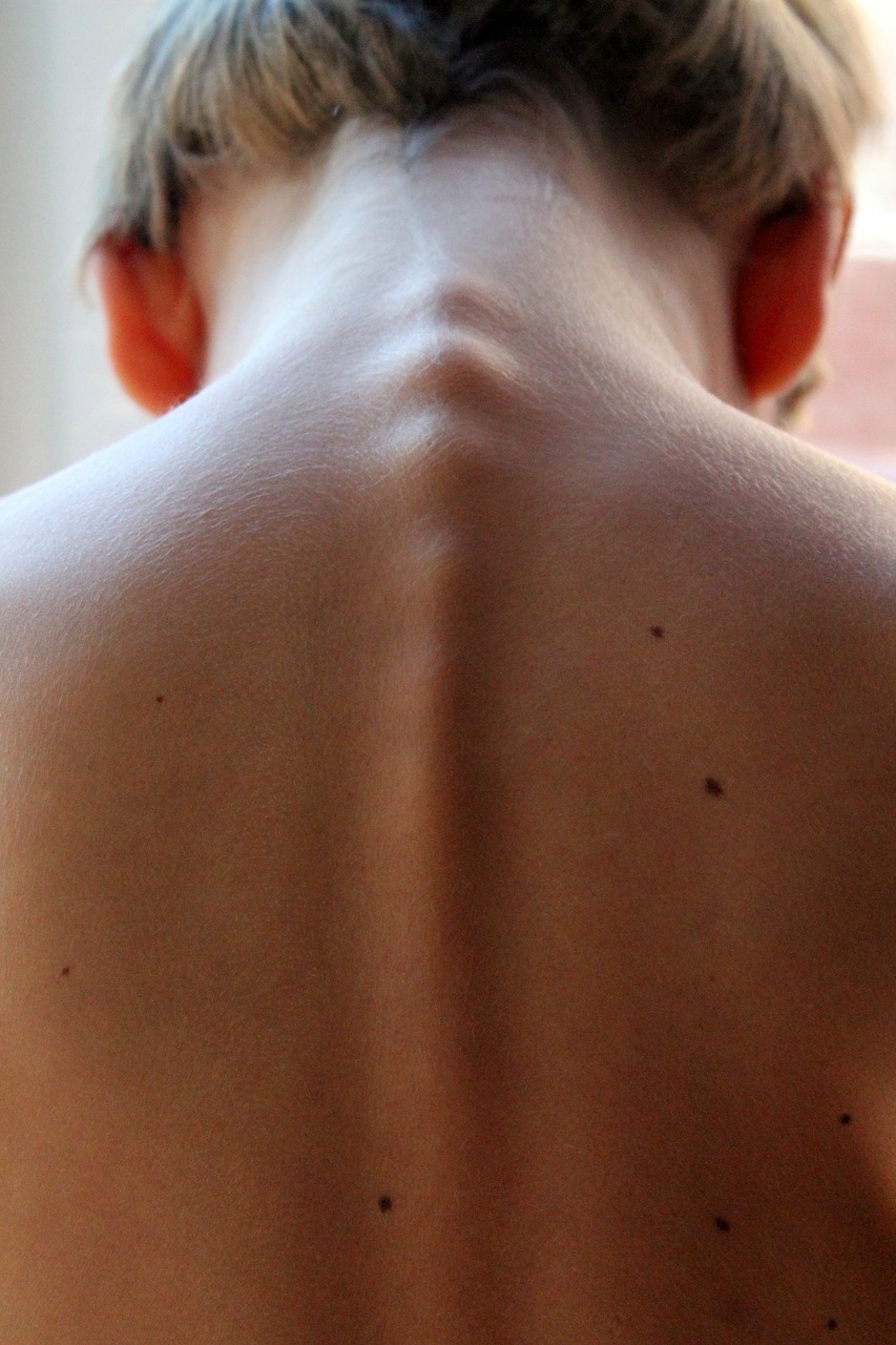 spinal column, hair, back